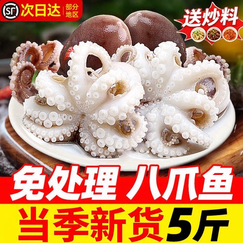 39元限时抢!5斤免处理小八爪鱼