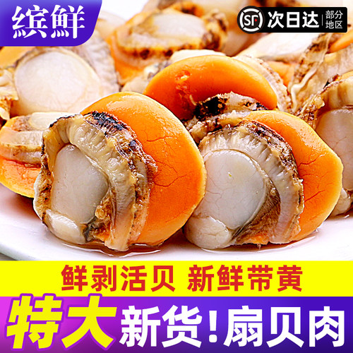 特大扇贝肉无冰带膏带黄顺丰包邮