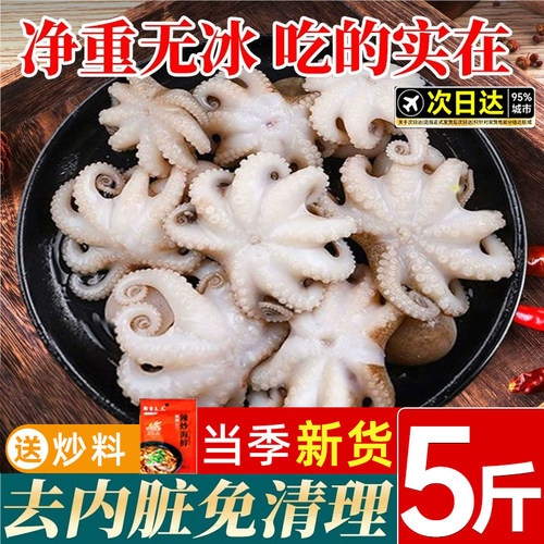 39元限时抢!5斤无冰小八爪鱼新鲜