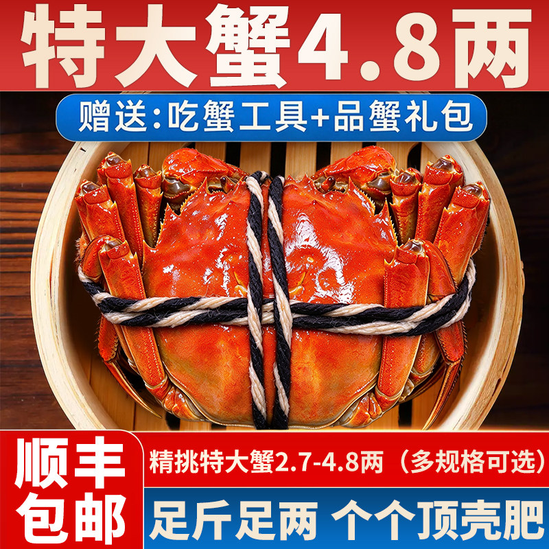 【活蟹】特大10只大闸蟹鲜活现货
