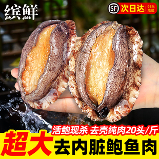 鲍鱼肉鲜活冷冻去牙去壳新鲜活鲍现剥去内脏火锅食材500g海鲜水产