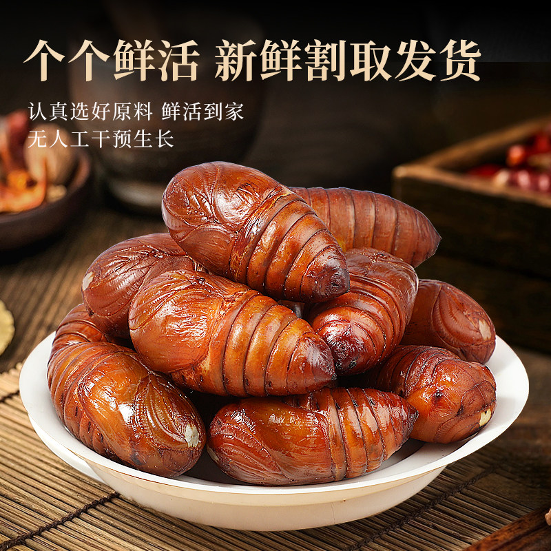 新鲜东北特产蚕蛹大个鲜活蚕蛹子
