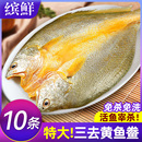 黄鱼鲞新鲜冷冻大黄鱼黄花鱼三去生鲜宁德小黄鱼鲜活海鲜海鱼商用