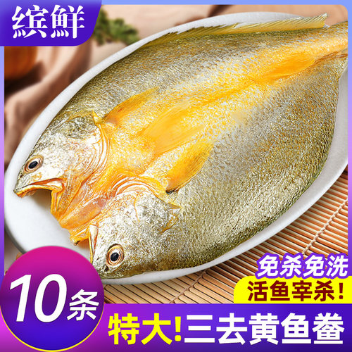 活鱼宰杀10条无冰特大黄鱼鲞顺丰
