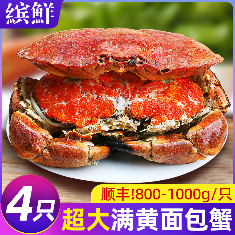 58.9抢超大面包蟹!仅限一天!
