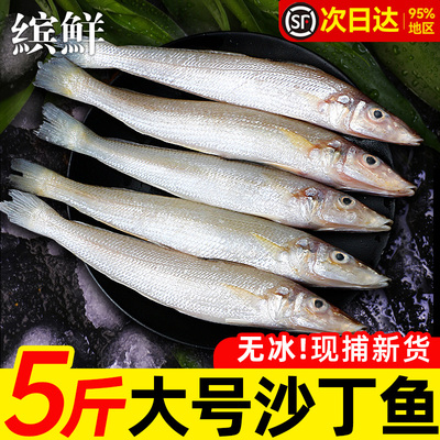 新鲜捕捞沙丁鱼肉嫩无小刺