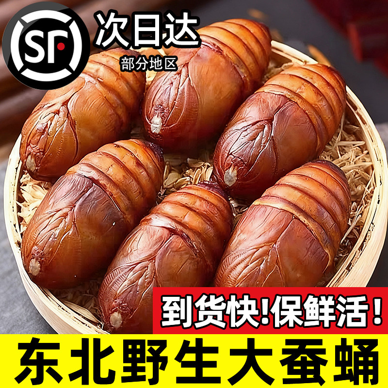 东北鲜活柞蚕蛹大个蚕蛹新鲜活蝉蛹黄蚕蛹大茧蛹高蛋白香蝉蛹500g