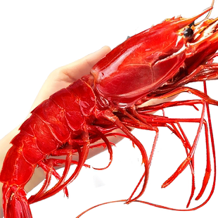 红魔虾鲜活甜虾刺身水产海鲜大虾超大非莫桑比克西班牙海鳌虾生腌