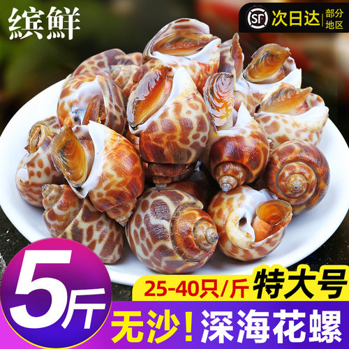 花螺鲜活无沙特大号新货顺丰包邮