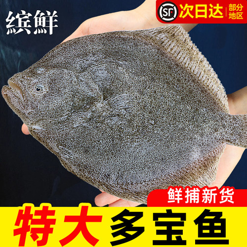 新鲜特大多宝鱼八宝鱼偏口鱼鲽鱼海鱼海鲜水产比目鱼菱平鱼年货
