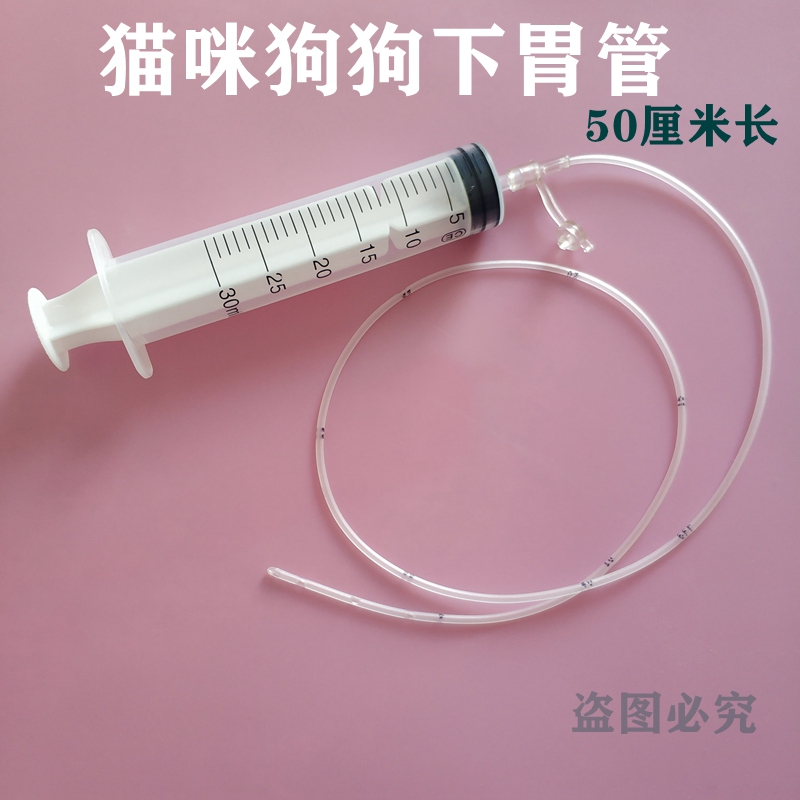 宠物狗狗幼小猫咪专用下胃管