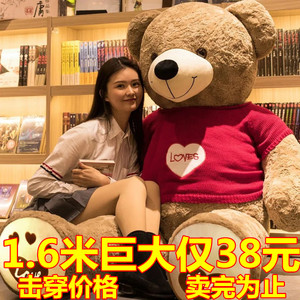 迷糊熊公仔抱枕PP棉可爱