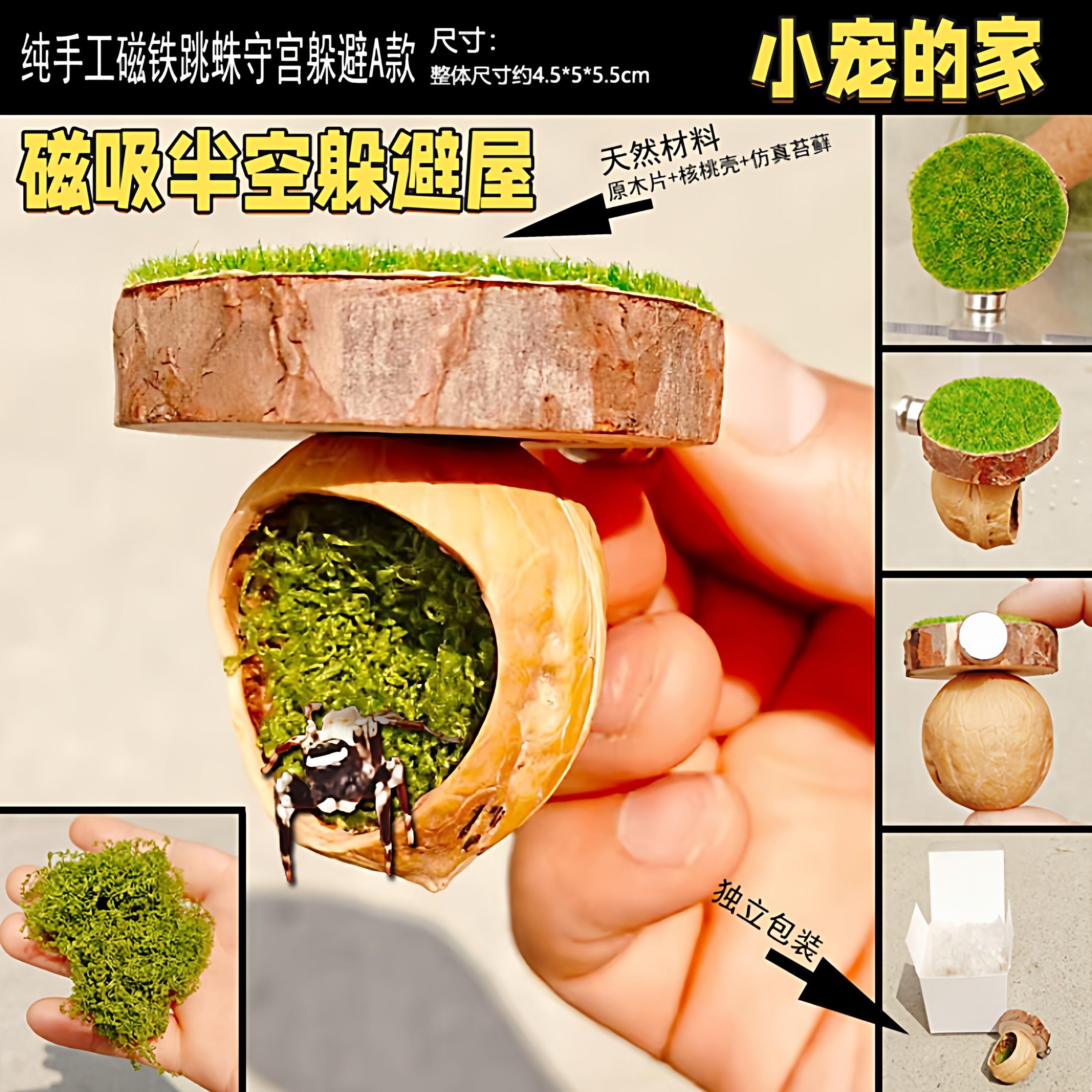 出口树蛙磁吸半空宠物跳