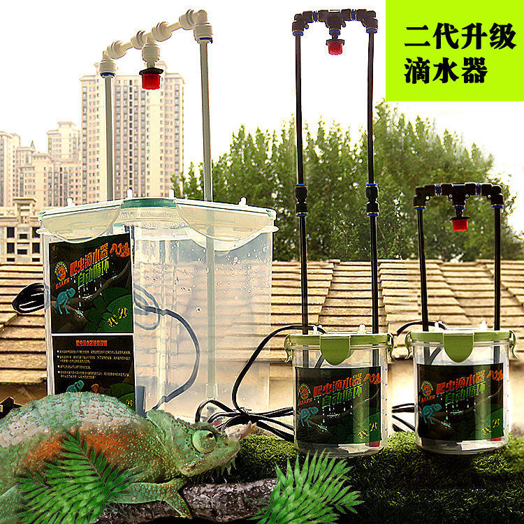宠物蜥蜴流水爬宠自动滴水器恒温箱加湿器树蛙变色龙睫角守宫饮水