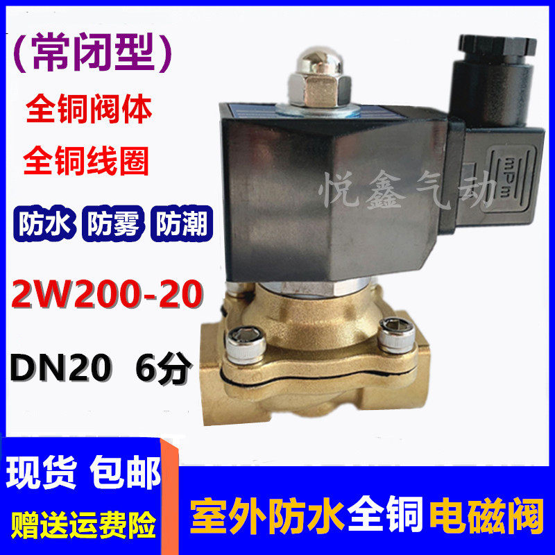 2W200-20 6分全铜阀体全铜线圈 DN20室外防水专用电磁阀 24V 220V