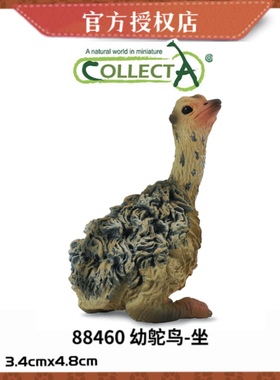 英国CollectA我你他野生动物模型玩具88459鸵鸟88460幼鸵鸟