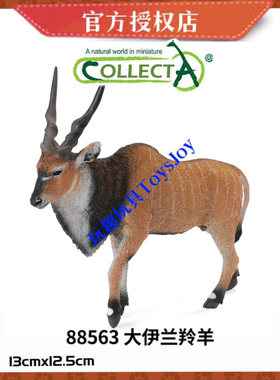 英国CollectA我你他野生动物模型玩具88563 大伊兰羚羊