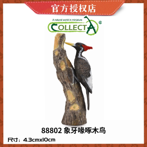 英国CollectA我你他野生动物模型玩具88802 啄木鸟