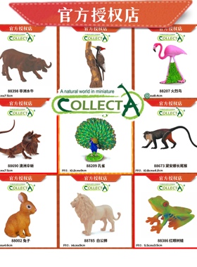 【野生动物2】[官方授权]CollectA动物模型玩具儿童认知模型礼物