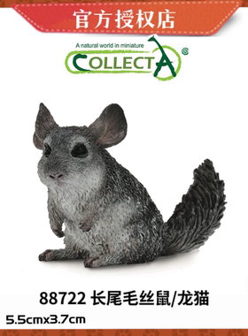 英国CollectA我你他仿真野生动物模型玩具88722 长尾毛丝鼠 龙猫