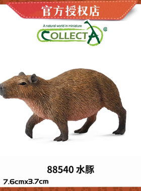 英国CollectA我你他野生动物模型玩具88540水豚卡皮巴拉88541幼崽