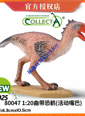 [2025新品]英国CollectA恐龙生动物模型玩具80047 1:20 曲带恐鹤