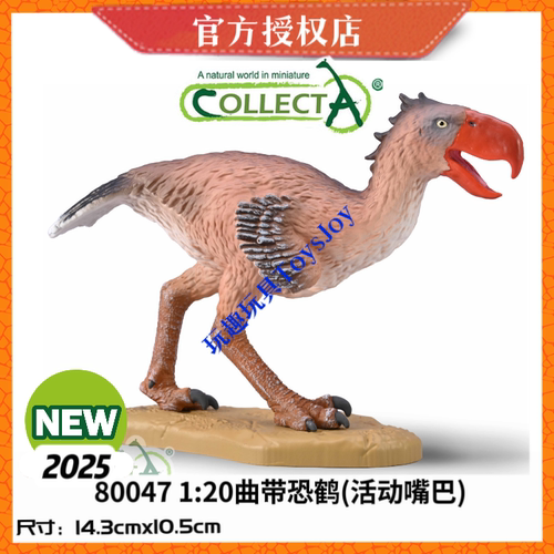[2025新品]英国CollectA恐龙生动物模型玩具80047 1:20 曲带恐鹤