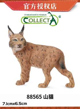 英国CollectA我你他野生动物模型玩具88565 山猫 猞猁 林曳野狸子