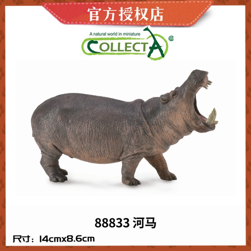 英国CollectA我你他仿真野生动物模型88833河马 88686倭河马 幼崽
