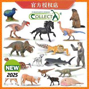 Collecta侏罗纪公园 现货 史前生物 珍藏手办 首发 新品 25年新品