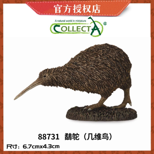 英国CollectA我你他野生动物模型玩具88731   鹬鸵（几维鸟）