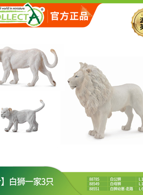 英国CollectA我你他仿真野生动物模型88782非洲雄狮白狮母狮幼崽