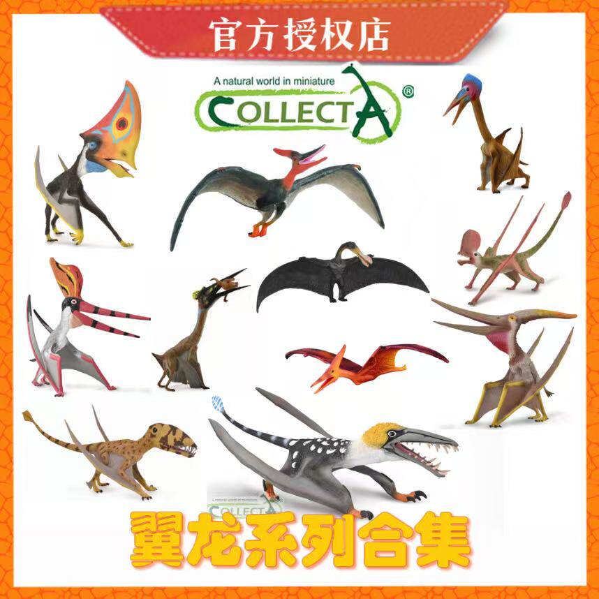 CollectA恐龙模型玩具无齿翼龙图片