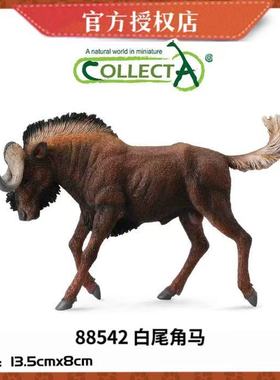 英国CollectA我你他野生动物模型玩具88542 白尾角马