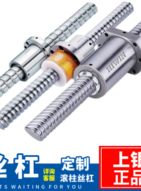 上银HIWIN滚珠丝杆R16 R20 R25定制全套螺母旋转式副螺杆原装丝杠