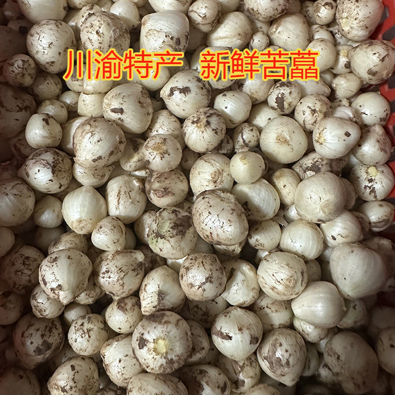 四川泸州苦藠新鲜薤白小根蒜苦芥野菜野葱头农家自种苦茭团葱包邮