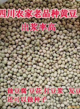 土黄豆2025年新货农家老品种黄心黑豆打豆浆专用四川本地非转基因