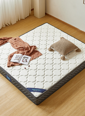 弹簧透气床垫乳胶椰棕22cm加厚经济型1.8m床双人软硬两用垫