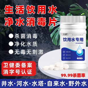 饮用水消毒片净水片井水消毒粉净化食用二氧化氯野外生存户外饮水