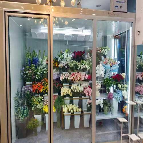 透明玻璃冷库花店专用鲜花保鲜库