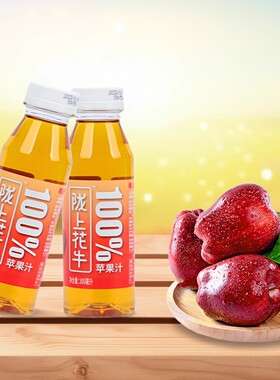 陇上花牛100%苹果汁pet瓶装整箱礼盒装300ML15瓶装饮品花牛苹果汁