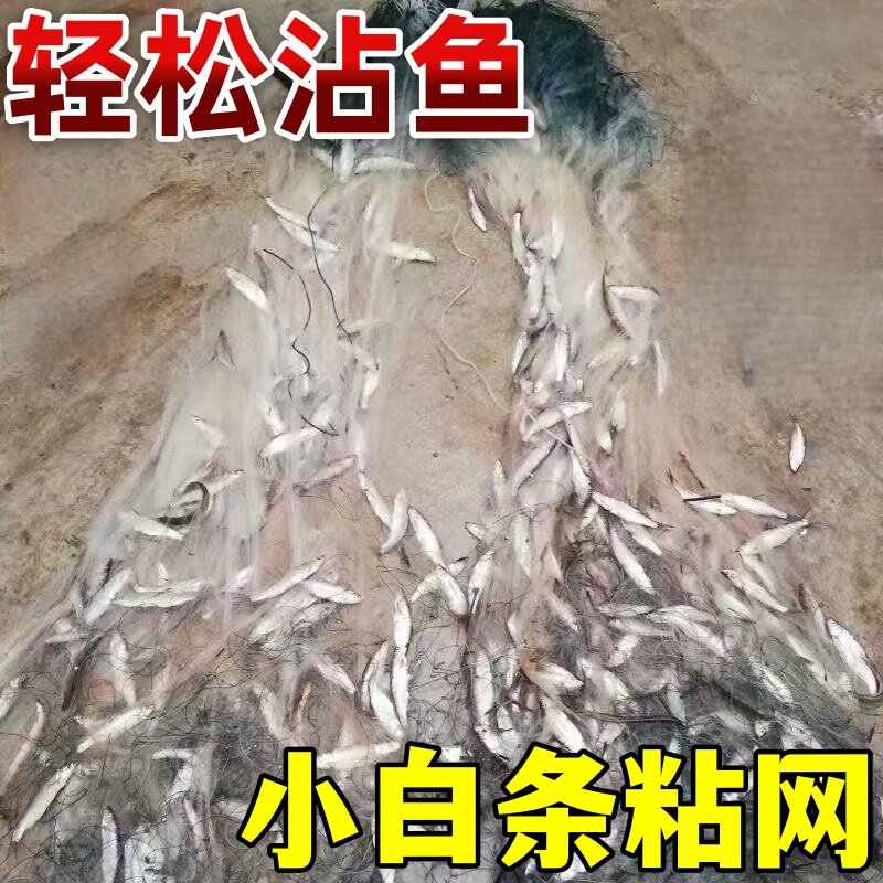 渔网粘网丝网三层沉网小鱼柔丝捕鱼浮网白条鲫鱼鲢鱼挂网单层鱼网
