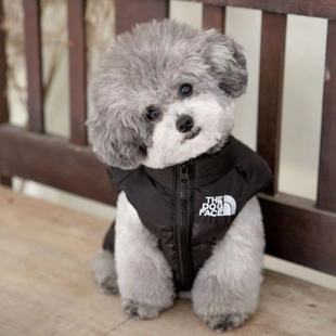 秋冬宠物狗狗衣服加厚马甲雪纳瑞泰迪比熊博美柴犬柯基法斗羽绒服