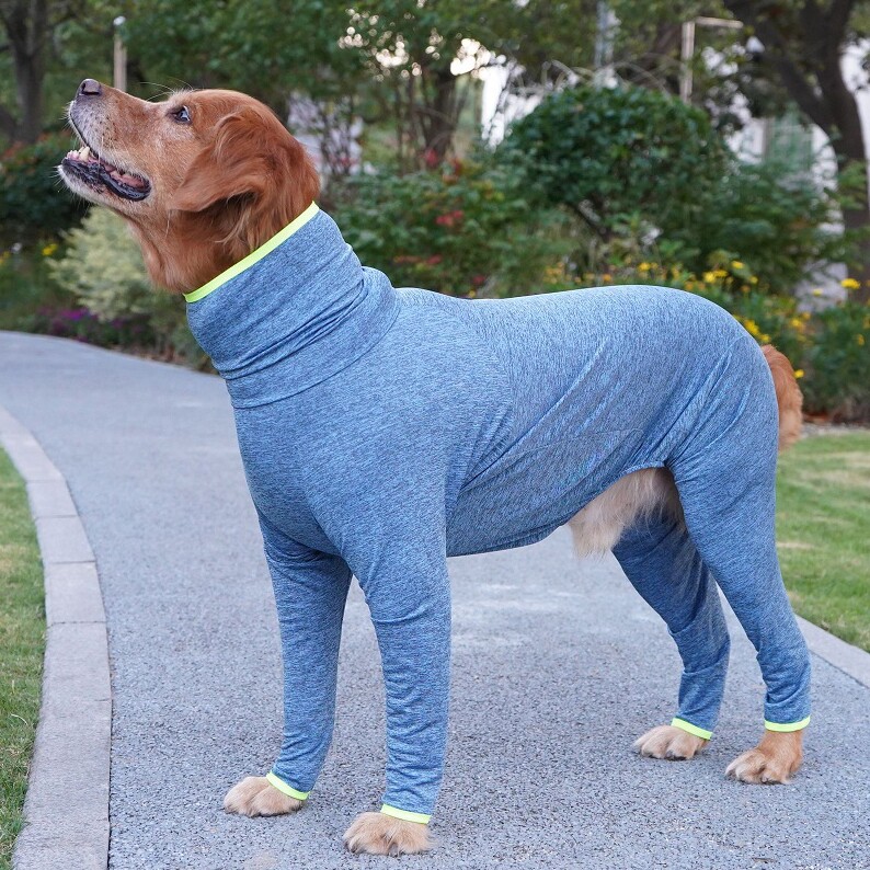 狗狗衣服春秋全包护腹防掉毛