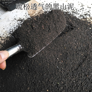 山野选集 天然有机黑山泥种兰种菜疏松透气不结块兰花原生土微酸