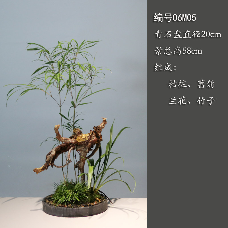 山野雅居 枯木之景 客厅室内桌面蕨类兰花竹子组合微景 支持定制