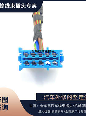 宝马1系235系X1迷你F52F45F49F55F56油泵电脑汽油泵模块 插头线束