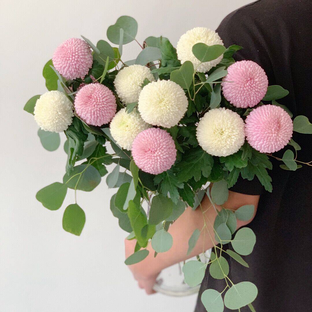 圆叶尤加利原色鲜花家庭婚庆花苹果叶插花鲜切可做干花北京同城