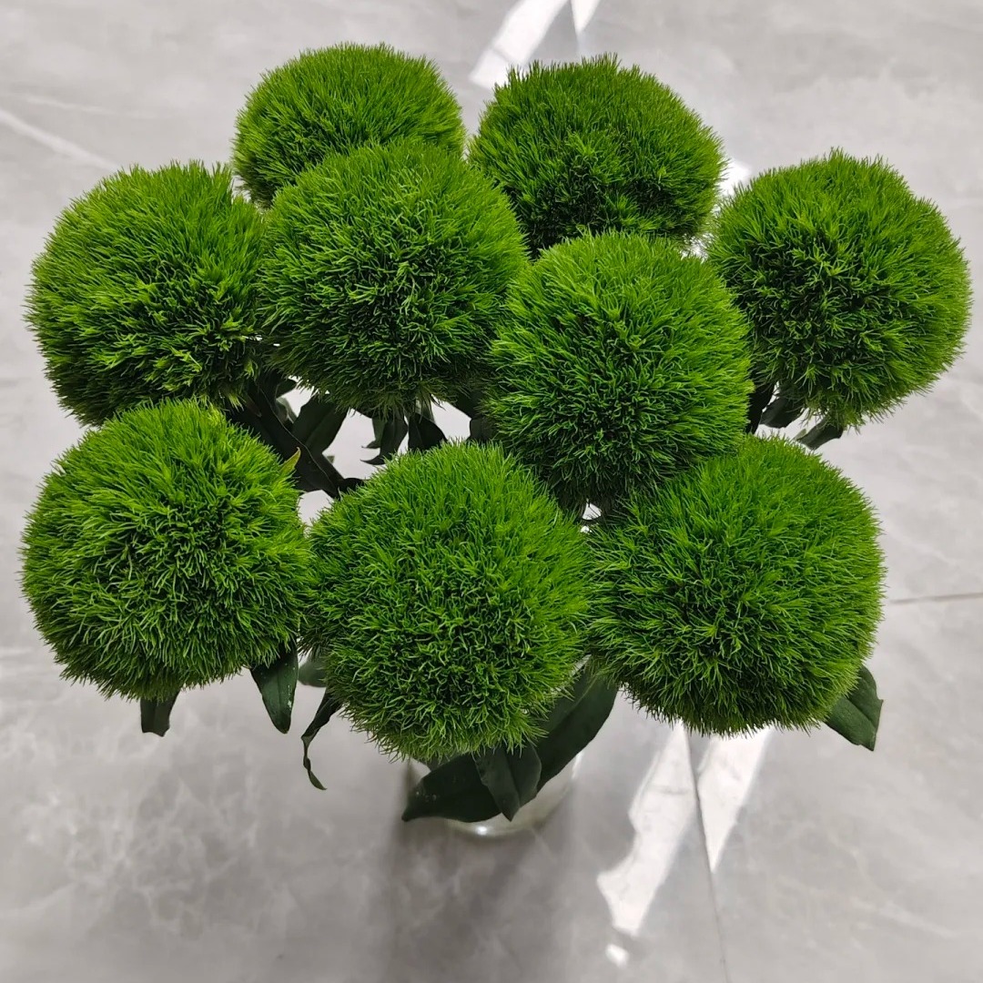 绿毛球鲜花圆圆可爱小球客厅家居装饰瓶插花云南直发顺丰空运包邮