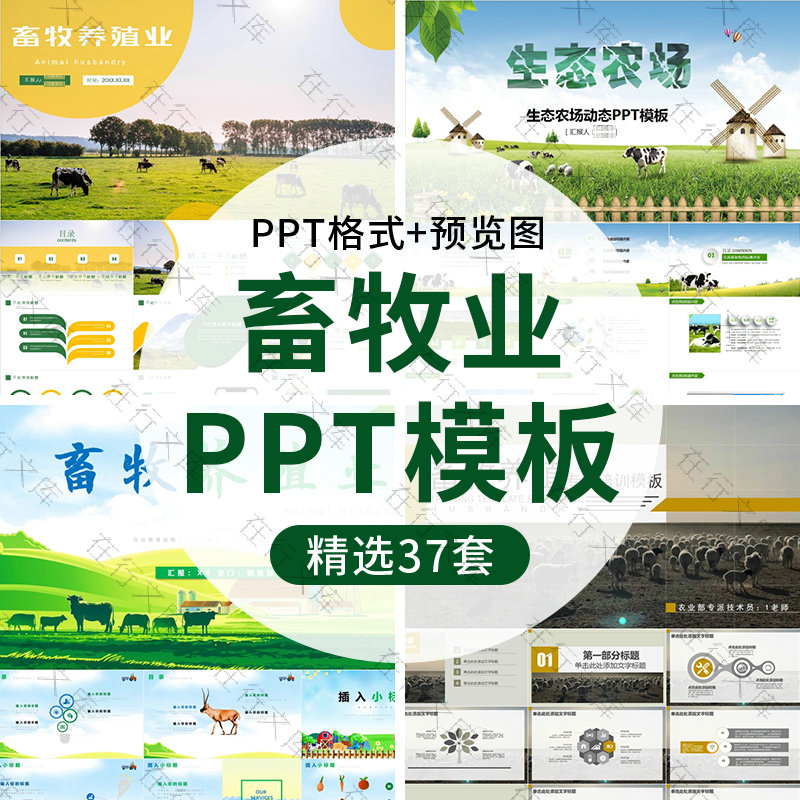 农业生态农场养殖业畜牧业PPT模板羊牛肉商业计划介绍汇报主题ppt